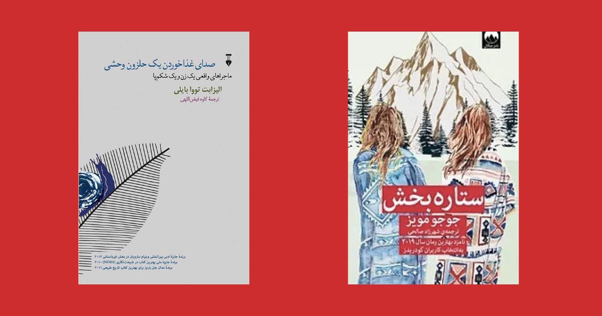 کتاب صدای غذا خوردن یک حلزون وحشی نشر نو